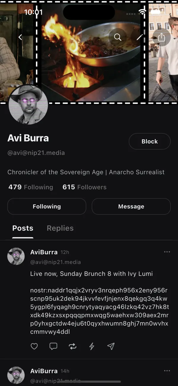 A user profile with posts, followers, and a message button